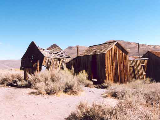Bodie