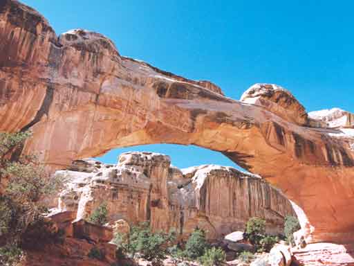 Hickman Bridge