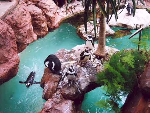 Dallas World Aquarium