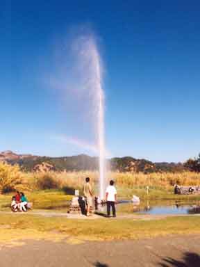 Old Faithful geyser